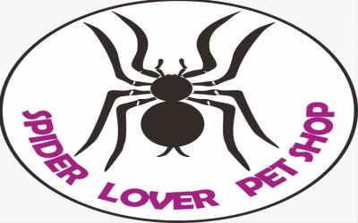 Surat kesehatan / health certificate for animal shipment / Surat Kesehatan / perpanjang masa kirim